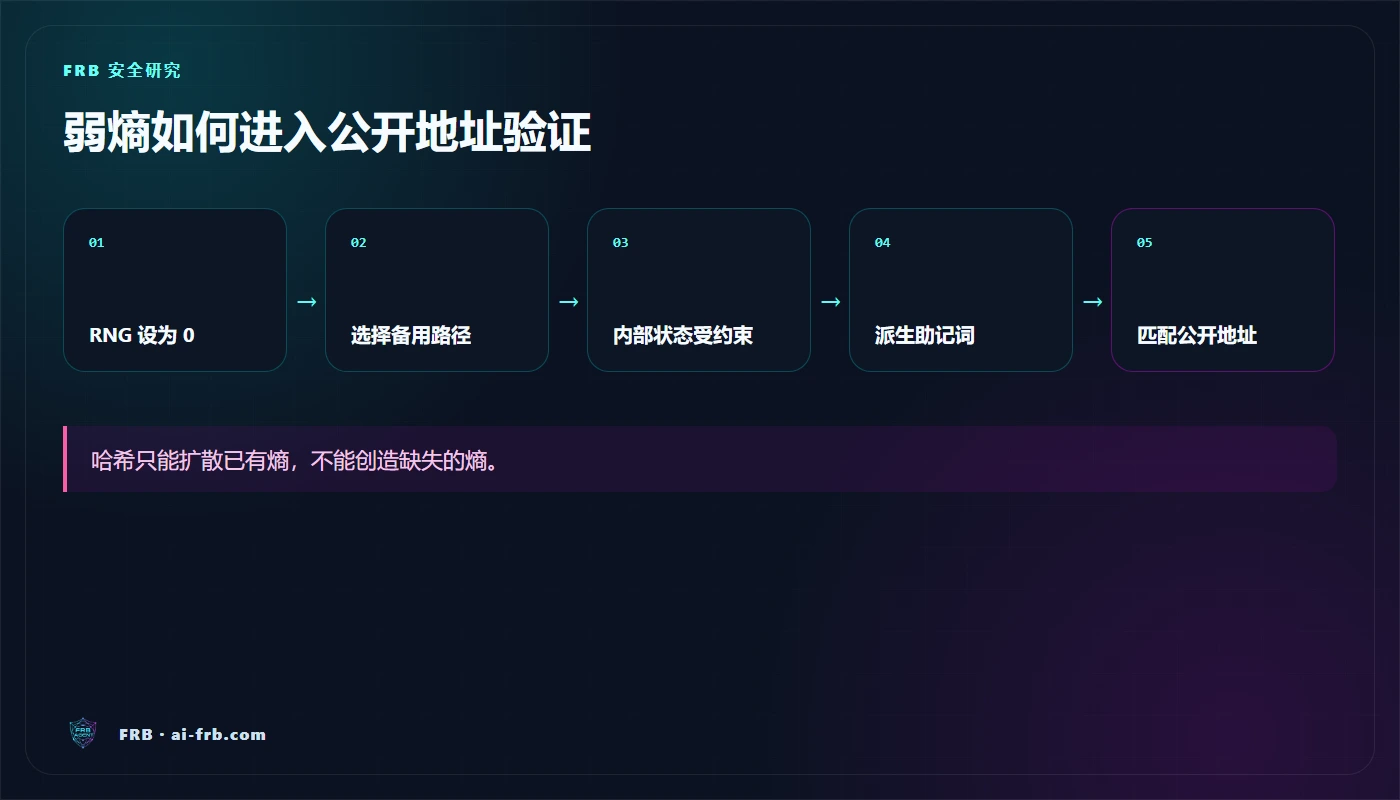 COLDCARD RNG 控制流弱点示意图：从配置到公开地址验证